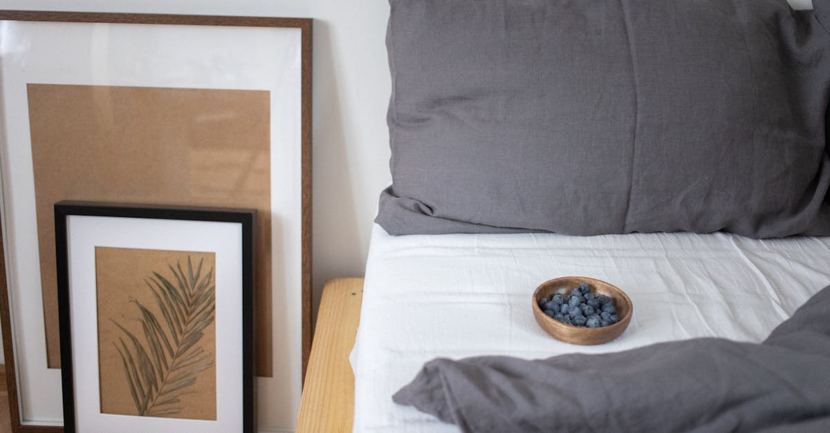 découvrez des idées de chambres douillettes qui allient confort et style. transformez votre espace en un havre de paix avec des astuces de décoration, des palettes de couleurs apaisantes et des choix de mobilier chaleureux.