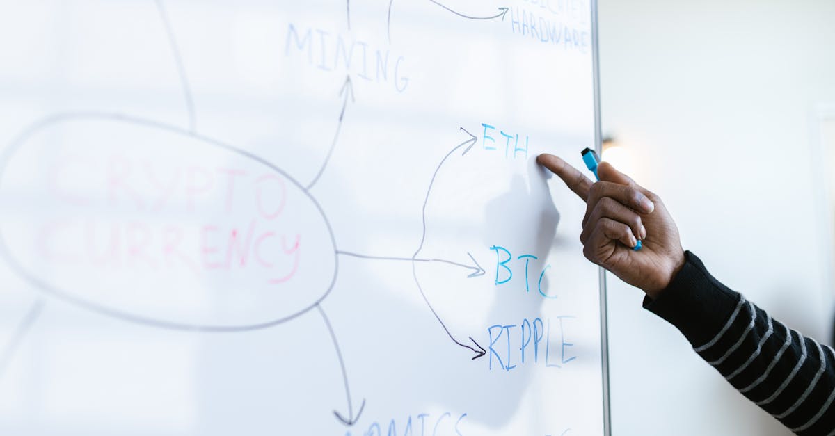 découvrez comment les stratégies de responsabilité sociétale des entreprises (rse) peuvent transformer votre organisation, renforcer votre image de marque et contribuer au développement durable. apprenez les meilleures pratiques et les approches innovantes pour intégrer la rse dans votre modèle d'affaires.