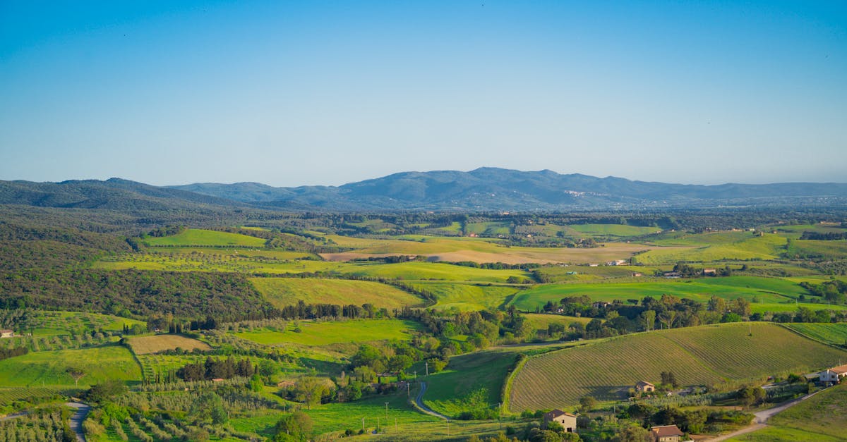 découvrez des produits et des pratiques éco-responsables qui préservent notre planète. adoptez un mode de vie durable et respectueux de l'environnement !