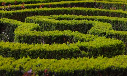 découvrez des produits et pratiques éco-responsables qui préservent notre planète. adoptez un mode de vie durable avec des solutions respectueuses de l'environnement pour un futur meilleur.