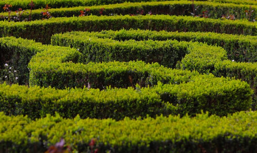 Astuces pour rendre votre maison plus écologique en 2025