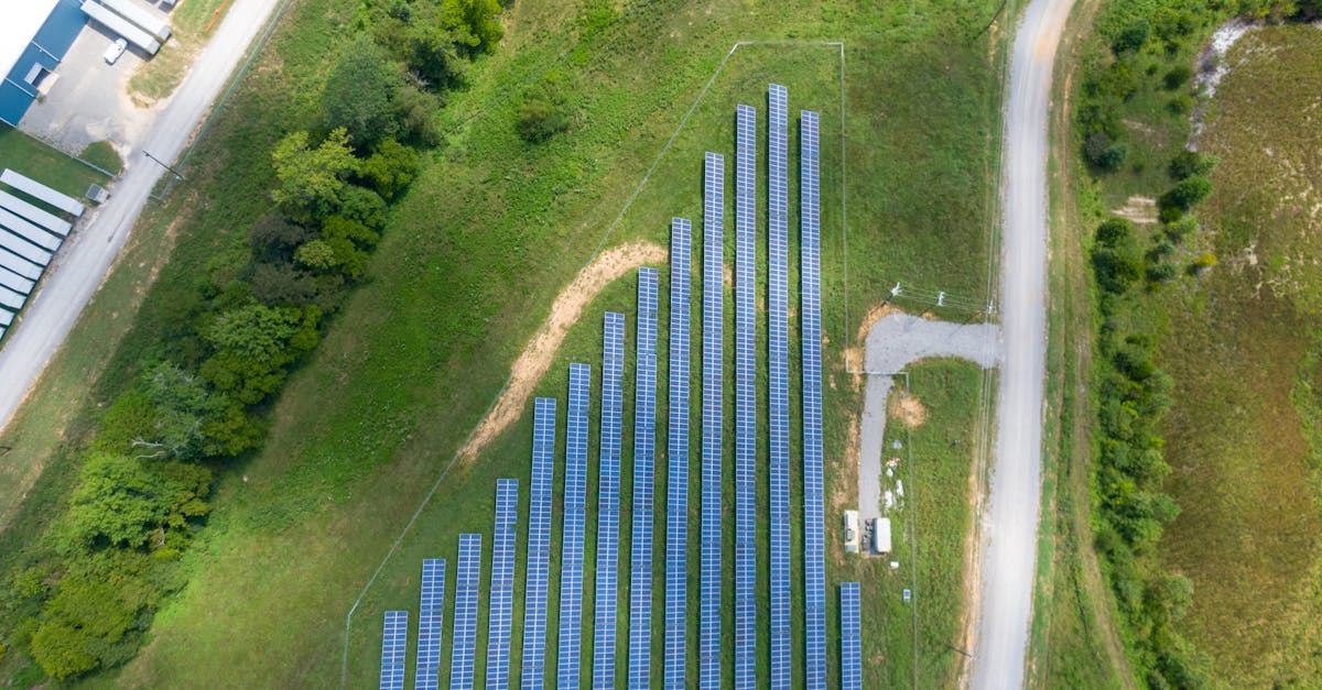 découvrez l'importance de la conservation de l'environnement pour préserver notre planète. explorez des conseils pratiques, des initiatives durables et des actions significatives à entreprendre pour protéger les écosystèmes, réduire notre empreinte écologique et promouvoir un avenir plus vert pour les générations futures.