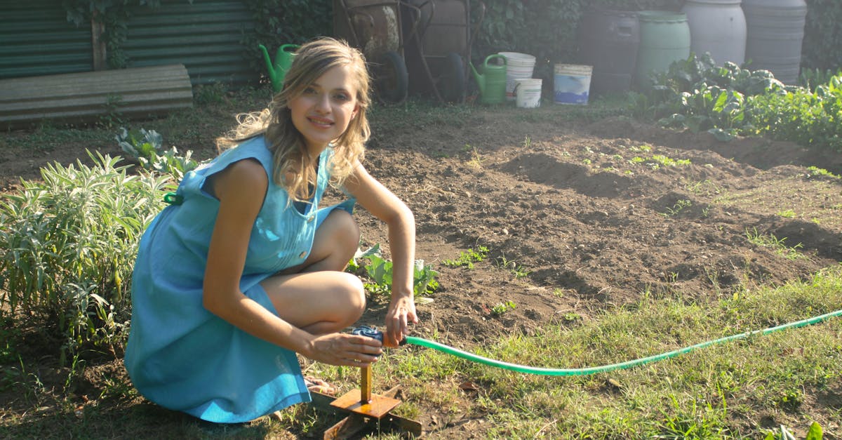 découvrez l'art du jardinage avec nos conseils pratiques, astuces et techniques pour cultiver vos plantes, embellir votre espace extérieur et profiter de la nature chez vous.