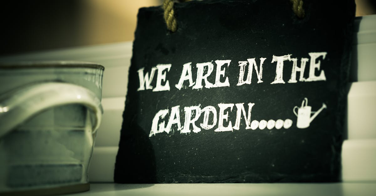 découvrez les secrets du jardinage ! apprenez des techniques efficaces pour cultiver vos plantes, embellir votre espace extérieur et profiter d'un jardin florissant tout au long de l'année. que vous soyez débutant ou expert, nos conseils pratiques vous aideront à réussir vos projets de jardinage.
