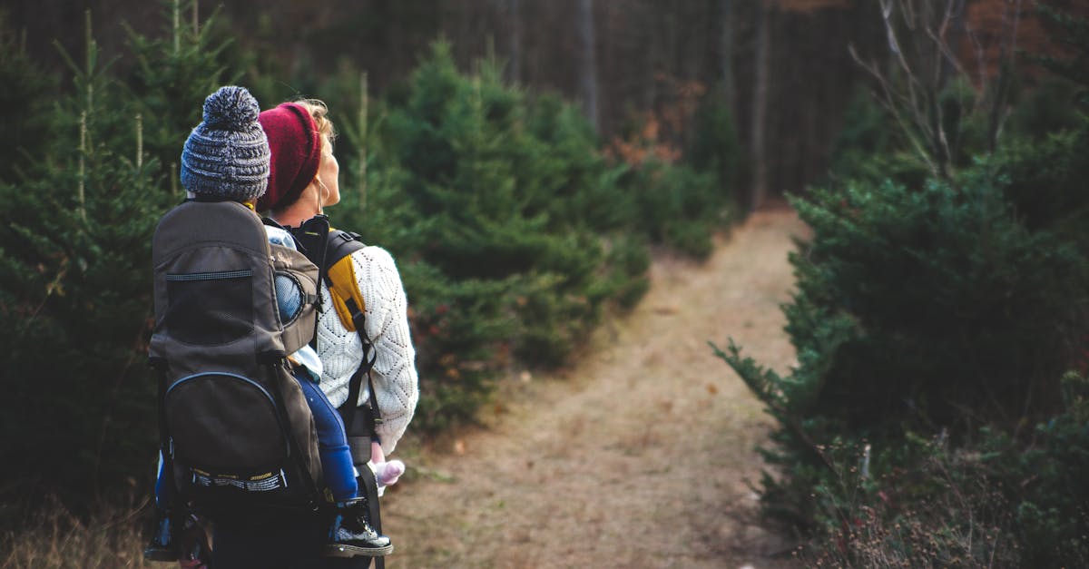 découvrez des conseils pratiques et des idées inspirantes sur le parenting pour élever des enfants heureux et équilibrés. explorez des ressources sur le développement de l'enfant, la communication, et comment construire des relations solides au sein de la famille.