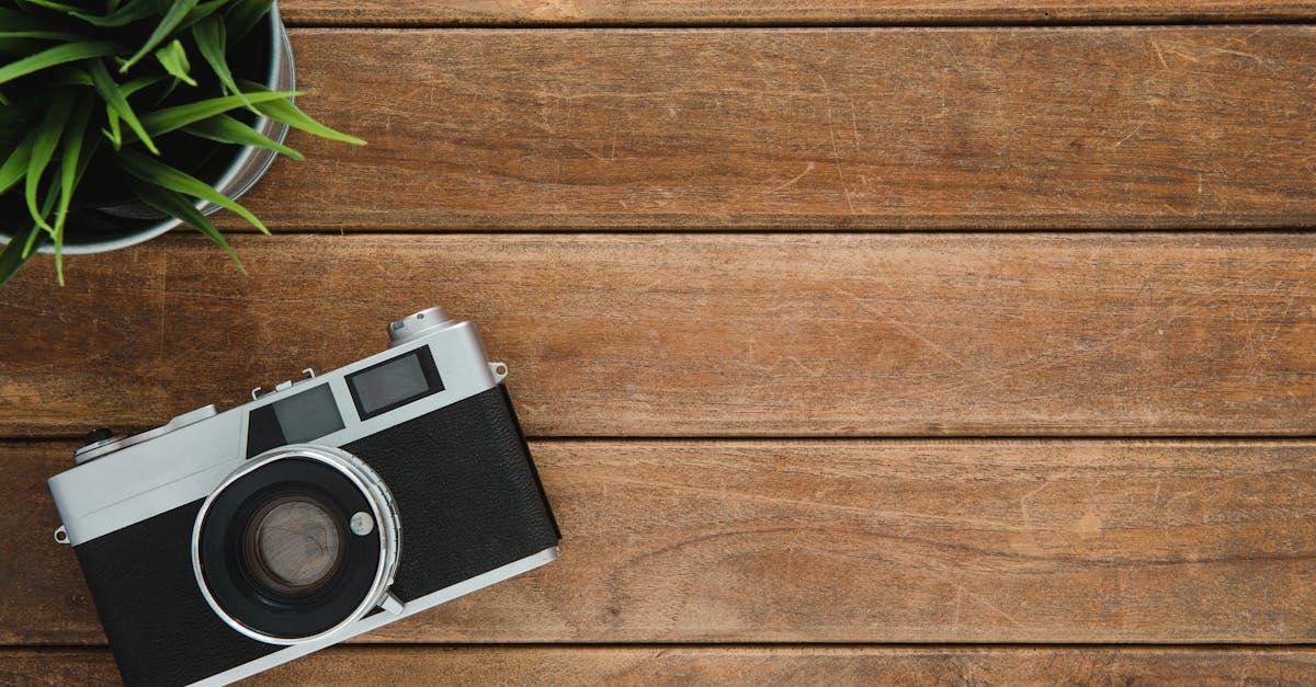 découvrez l'art de la photographie à travers des techniques, des conseils et des inspirations pour capturer des moments inoubliables. apprenez à maîtriser votre appareil photo et à exprimer votre créativité avec des photos époustouflantes.