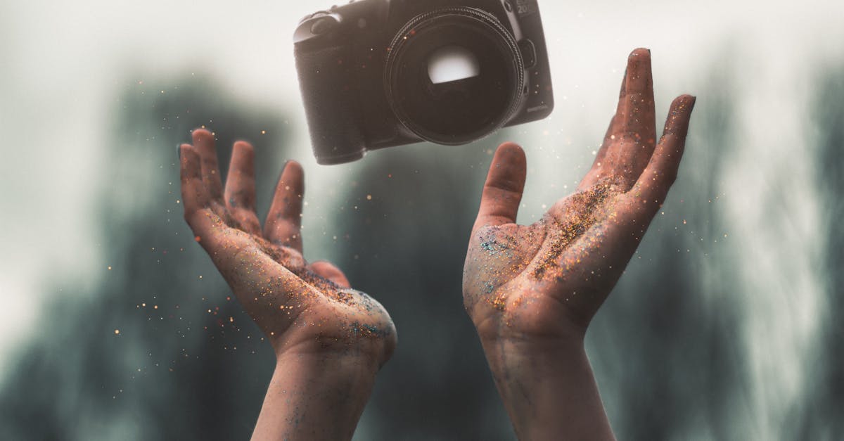découvrez l'art de la photographie à travers des techniques, des astuces et des inspirations pour capturer des moments inoubliables. explorez notre sélection d'articles et de conseils pour améliorer vos compétences en photographie.