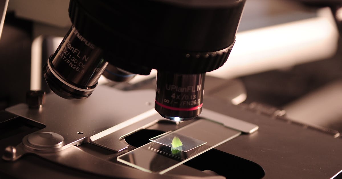 découvrez les dernières percées scientifiques qui transforment notre compréhension du monde. explorez des découvertes fascinantes qui ouvrent de nouvelles perspectives et façonnent l'avenir de la science.