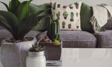 découvrez des idées inspirantes pour décorer votre intérieur avec style. plantes, couleurs, et accessoires tendance pour transformer votre espace en un havre de paix.