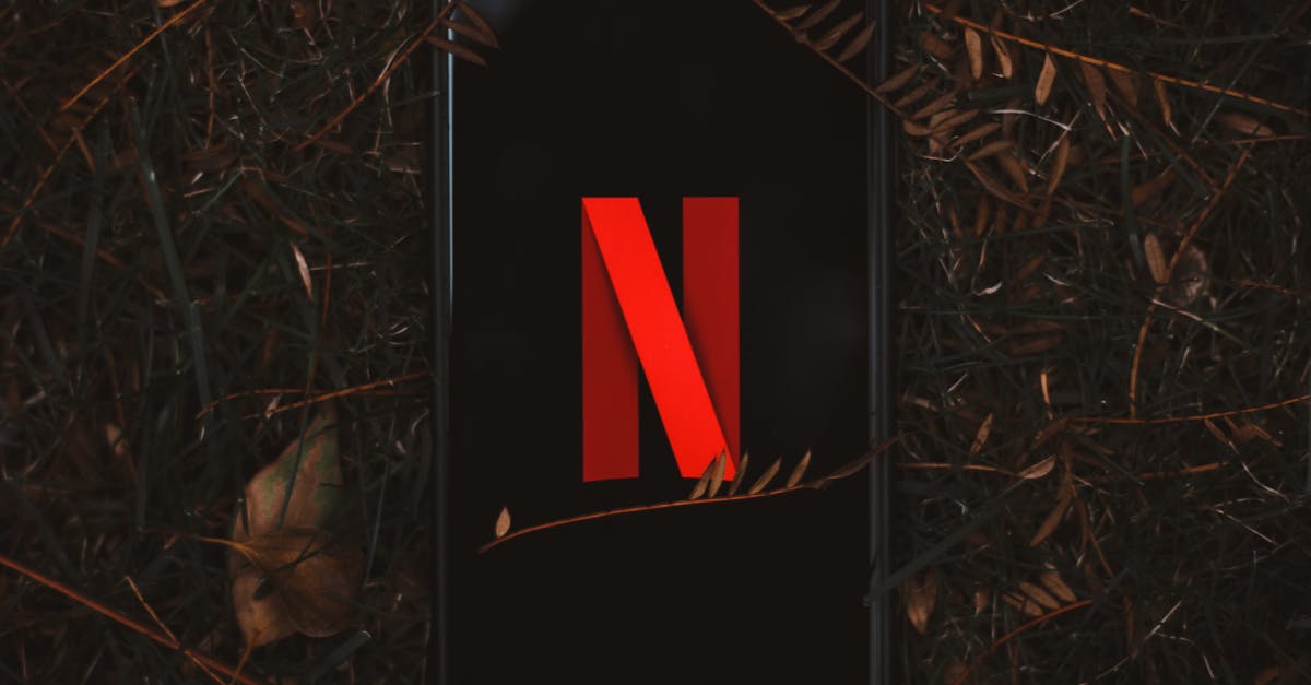 découvrez un monde de divertissement avec notre sélection des meilleures séries netflix. des histoires captivantes, des personnages marquants et des genres variés pour satisfaire tous les goûts. plongez dans l'univers des séries originales et trouvez votre prochaine obsession binge-watching.