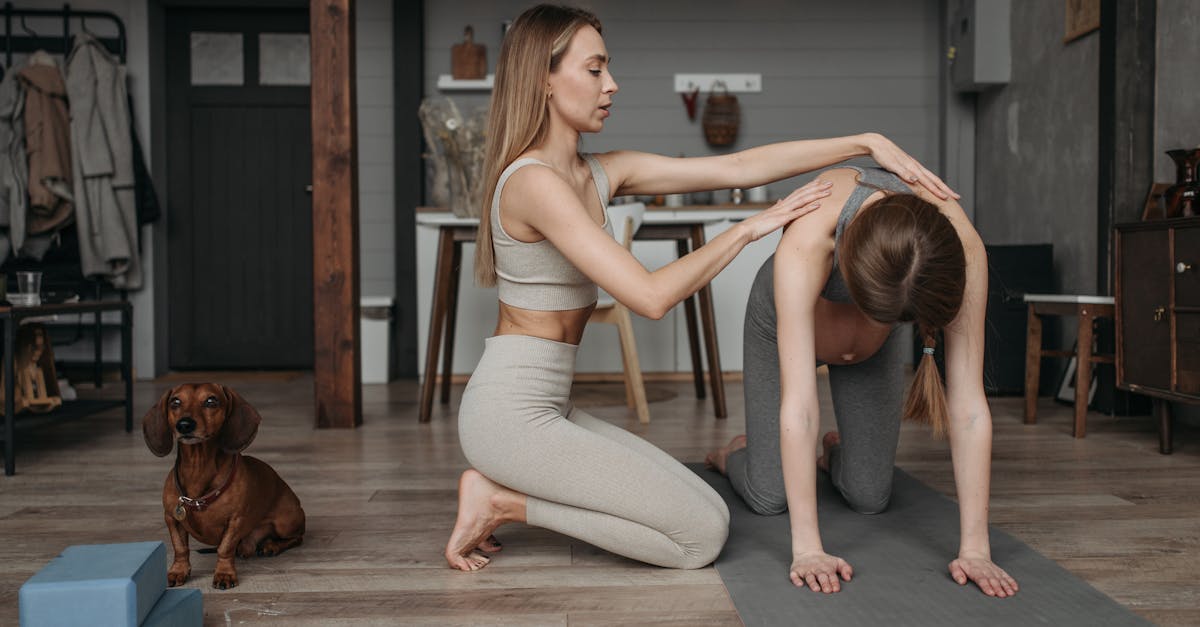 découvrez des conseils et astuces pour assurer le bien-être de vos animaux de compagnie. apprenez à améliorer leur santé physique et mentale grâce à des pratiques adaptées, des nutrition équilibrée et des activités stimulantes.