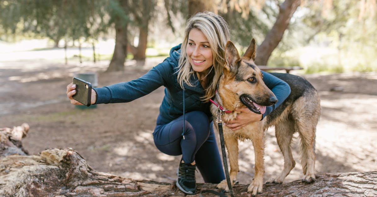 découvrez comment assurer le bien-être de vos animaux de compagnie grâce à des conseils pratiques, des astuces de soins et des recommandations nutritionnelles pour un comportement sain et heureux.