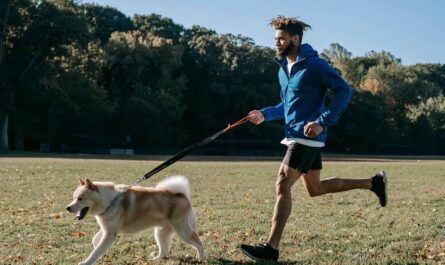 découvrez des conseils et astuces pour le bien-être de votre animal de compagnie. apprenez comment améliorer la santé, le bonheur et le confort de votre fidèle compagnon grâce à nos recommandations avisées.