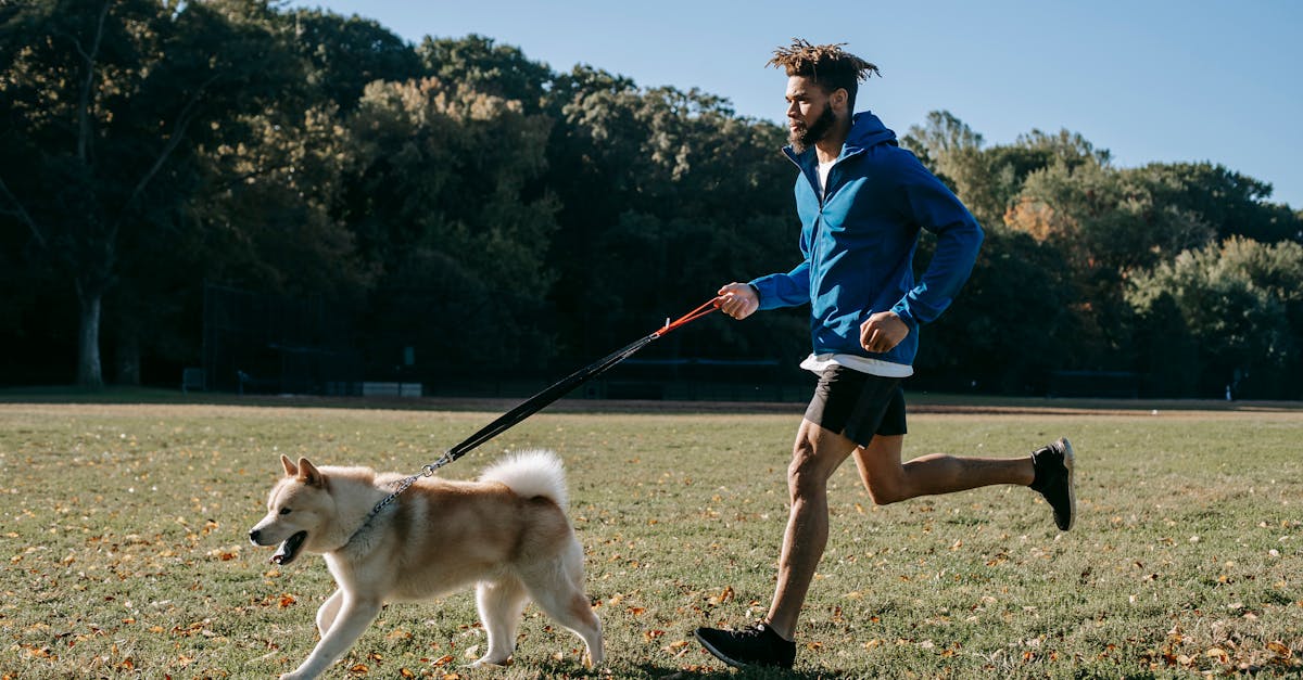 découvrez des conseils et astuces pour le bien-être de votre animal de compagnie. apprenez comment améliorer la santé, le bonheur et le confort de votre fidèle compagnon grâce à nos recommandations avisées.