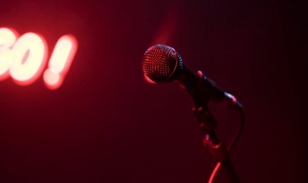 découvrez l'univers hilarant des stand-up comedies, où l'humour tranchant et les performances captivantes se mêlent pour vous faire rire aux éclats. plongez dans des spectacles variés allant des récits personnels aux observations sociétales, parfaits pour une soirée de détente pleine de rires.
