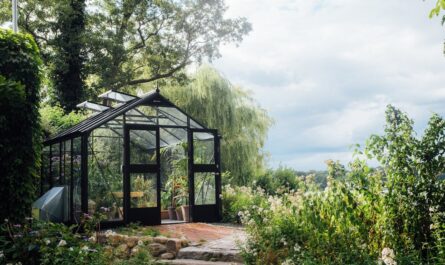 découvrez l'urban gardening, une pratique innovante qui permet de cultiver des plantes et des légumes en milieu urbain. apprenez des astuces pour aménager votre balcon ou votre petite cour, et connectez-vous avec la nature tout en contribuant à un environnement durable.