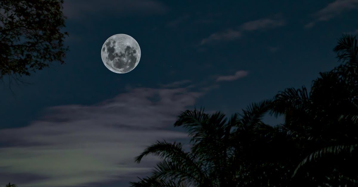 découvrez l'astrologie, une méthode fascinante d'interpréter les influences célestes sur notre destinée. plongez dans l'univers des signes zodiacaux, des horoscopes et des cartes astrales pour mieux comprendre votre personnalité et vos relations. explorez les mystères de l'astrologie et trouvez des réponses à vos questions sur l'amour, le travail et la vie quotidienne.