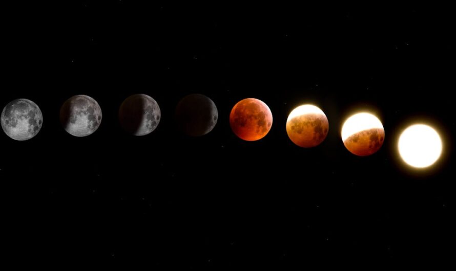 Comprendre l’astrologie : les secrets des signes du zodiaque révélés