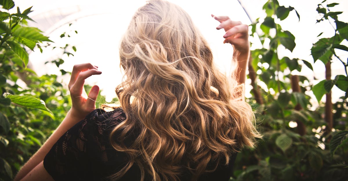 découvrez nos conseils et produits essentiels pour prendre soin de vos cheveux. que vous ayez des cheveux secs, gras ou colorés, nous vous aidons à chaque étape avec des routines adaptées et des astuces pour des cheveux sains et brillants.