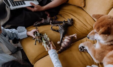 découvrez l'univers fascinant de la fiction interactive, où vos choix façonnent l'histoire. plongez dans des récits captivants et explorez des mondes inexplorés à travers des expériences immersives, où chaque décision compte!