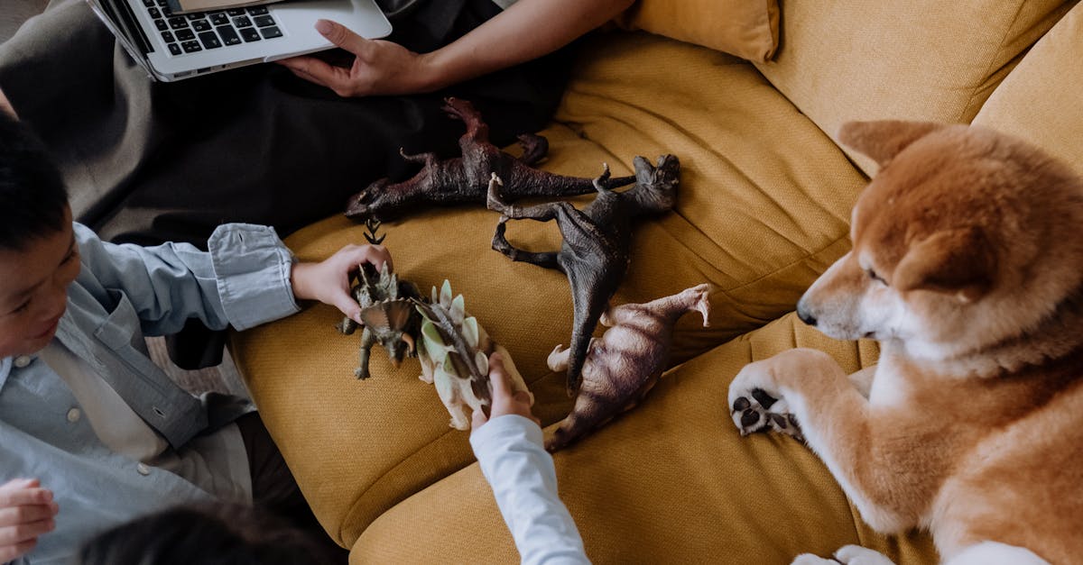 découvrez l'univers fascinant de la fiction interactive, où vos choix façonnent l'histoire. plongez dans des récits captivants et explorez des mondes inexplorés à travers des expériences immersives, où chaque décision compte!