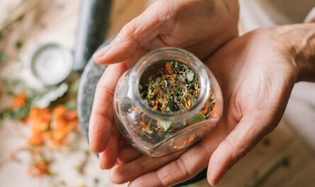 découvrez les bienfaits de la médecine naturelle pour améliorer votre santé et votre bien-être. explorez des remèdes à base de plantes, des thérapies holistiques et des approches alternatives pour une vie équilibrée.