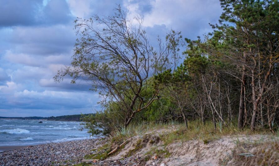 Les meilleurs parcs naturels à explorer en 2025 : vos excursions parfaites