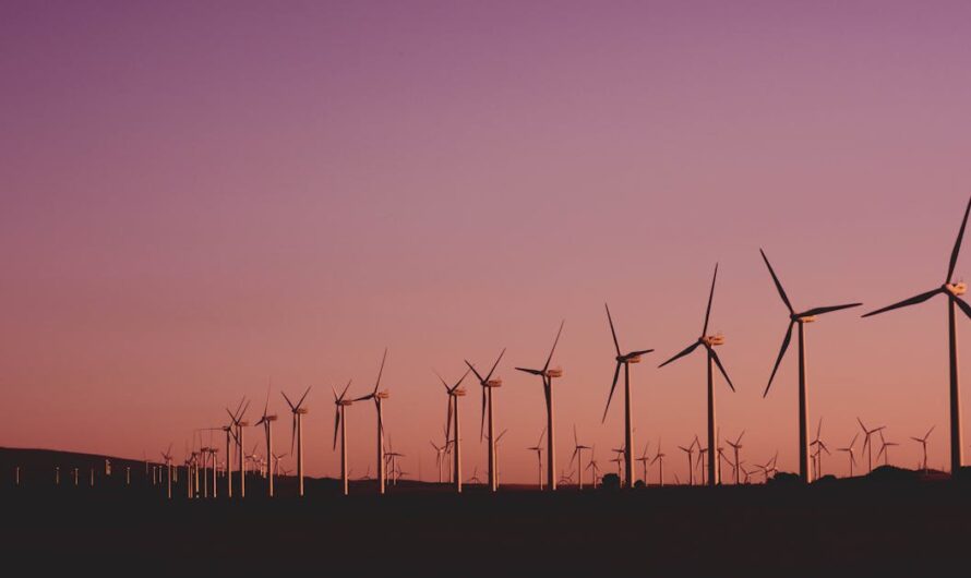 Développement durable : stratégies pour un avenir plus vert en 2025