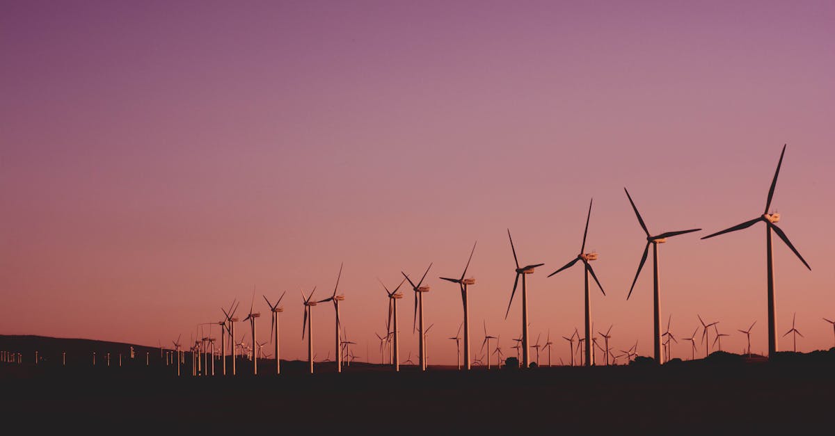 découvrez l'importance du développement durable pour un avenir meilleur. explorez des pratiques écoresponsables et des stratégies innovantes visant à préserver notre planète tout en favorisant la croissance économique et le bien-être social.
