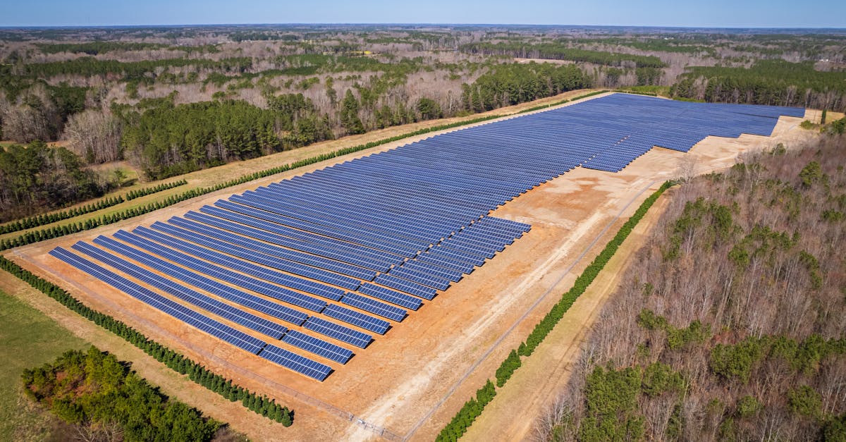 découvrez les principes du développement durable, une approche qui allie respect de l'environnement, justice sociale et croissance économique. apprenez comment adopter des pratiques responsables pour un avenir meilleur.