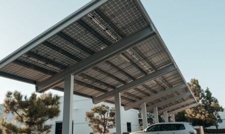 découvrez les enjeux et les stratégies du développement durable, une approche essentielle pour concilier croissance économique, protection de l'environnement et équité sociale. explorez des initiatives innovantes et des solutions pour un avenir plus vert.