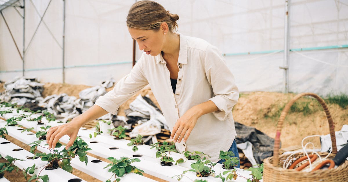 découvrez les enjeux du développement durable, une approche essentielle pour préserver notre planète et garantir un avenir sain et équitable pour les générations futures. explorez des stratégies innovantes et des solutions concrètes pour allier progrès économique, social et environnemental.