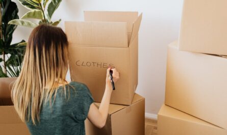 découvrez des stratégies d'investissement durable qui allient rentabilité financière et impact positif sur l'environnement. explorez des approches éthiques pour construire un avenir meilleur tout en maximisant vos gains.