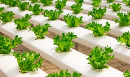 découvrez les technologies durables qui révolutionnent notre façon de vivre et de travailler. explorez les innovations écologiques qui favorisent un avenir plus vert et responsable, tout en améliorant l'efficacité et en réduisant l'empreinte carbone.