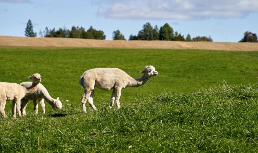 Innovations textiles : comment les matières écologiques transforment l’industrie de la mode en 2025 ?