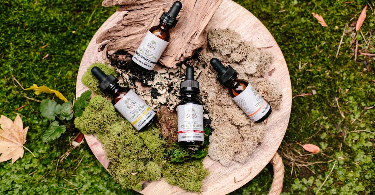 découvrez les huiles essentielles : bienfaits, utilisations en aromathérapie, conseils d’utilisation et précautions pour prendre soin de votre bien-être naturellement.