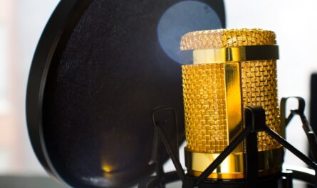 découvrez une sélection des meilleurs podcasts pour vous informer, vous divertir et élargir vos horizons sur des sujets variés. écoutez où que vous soyez et plongez dans l'univers riche du podcasting en français.