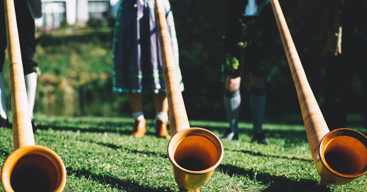 découvrez les festivals régionaux incontournables : traditions, gastronomie locale, musique et événements uniques à ne pas manquer dans chaque région française.