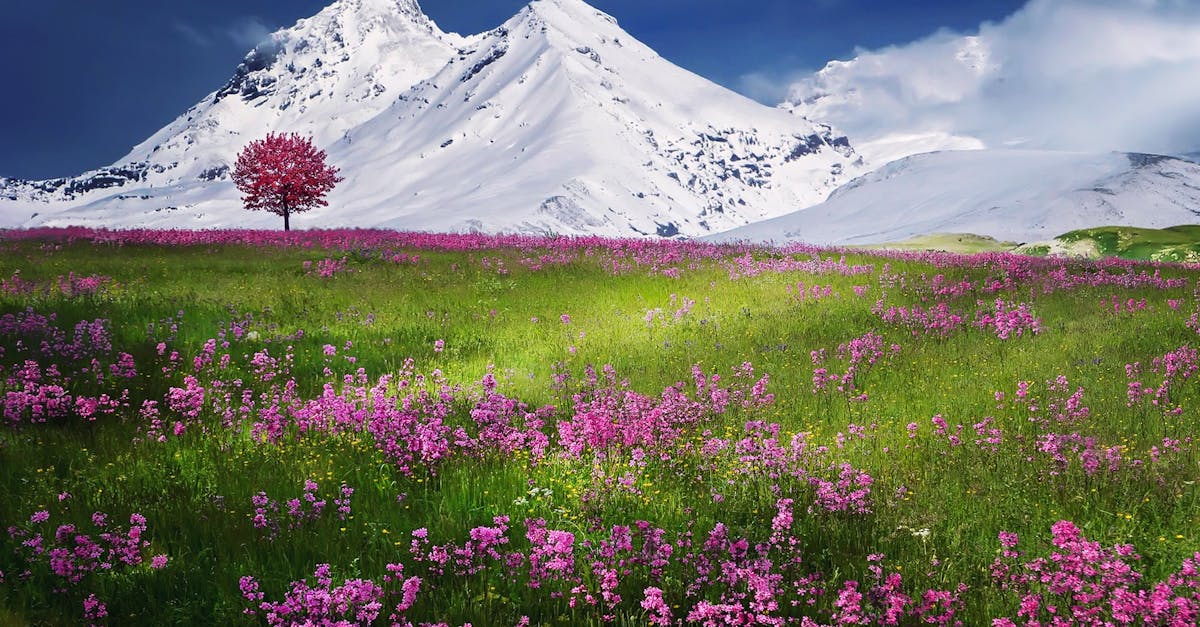 découvrez l'art de la relaxation pour apaiser votre esprit et revitaliser votre corps. explorez des techniques et des conseils pour intégrer la détente dans votre quotidien, tout en améliorant votre bien-être général.