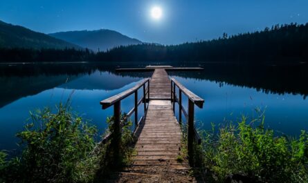 découvrez l'art de la relaxation et plongez dans un univers de sérénité. apprenez des techniques pour réduire le stress, améliorer votre bien-être et retrouver l'équilibre intérieur grâce à des exercices simples et efficaces.