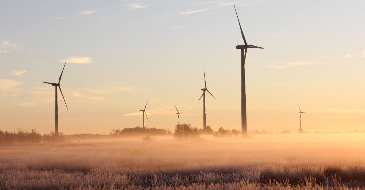 découvrez comment la durabilité transforme notre monde, en promouvant des pratiques écologiques et responsables pour un avenir meilleur. explorez des solutions innovantes et engagez-vous dans des actions concrètes pour préserver notre planète.