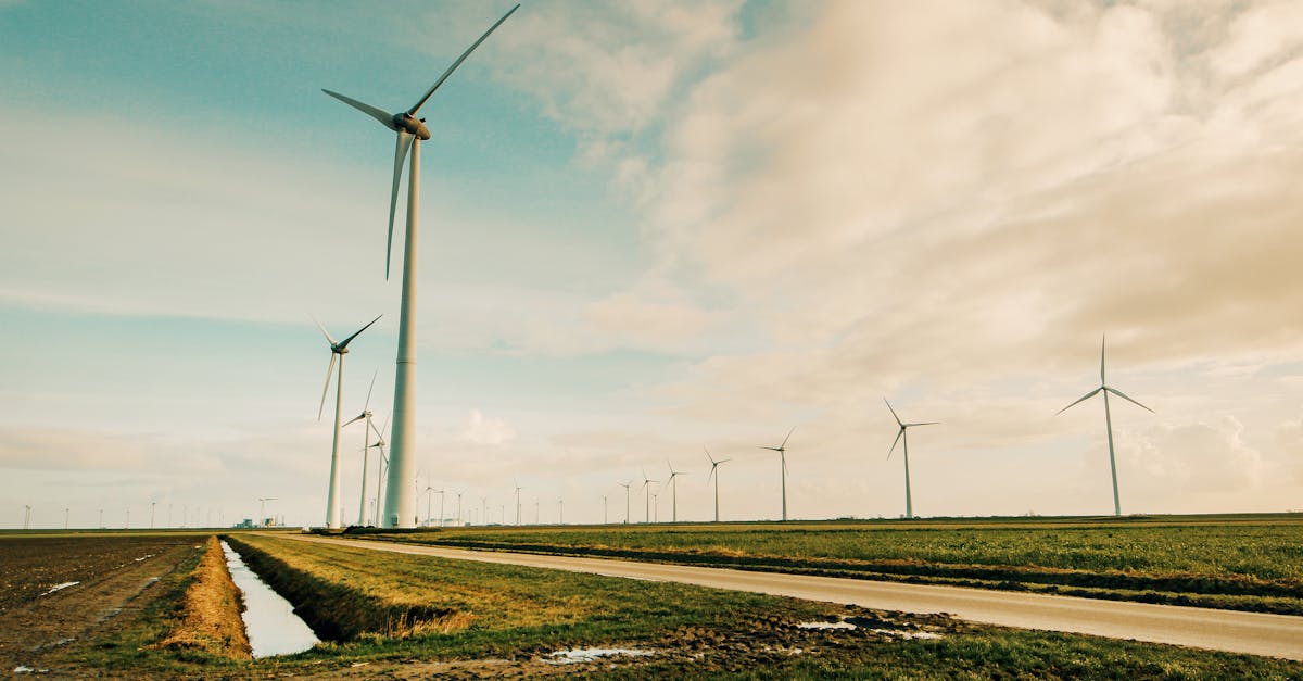 découvrez des stratégies et des pratiques pour promouvoir la durabilité dans tous les aspects de la vie quotidienne. explorez des solutions innovantes pour préserver notre planète tout en atteignant un équilibre entre environnement, économie et société.