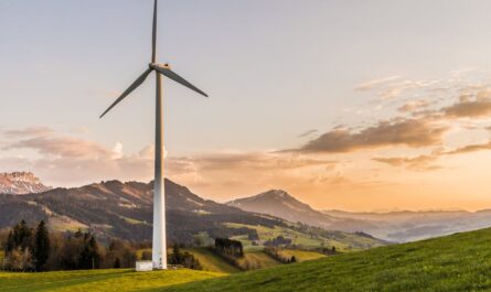 découvrez l'importance de la durabilité dans notre société actuelle. apprenez comment adopter des pratiques responsables pour préserver notre planète pour les générations futures tout en favorisant un développement économique et social équilibré.