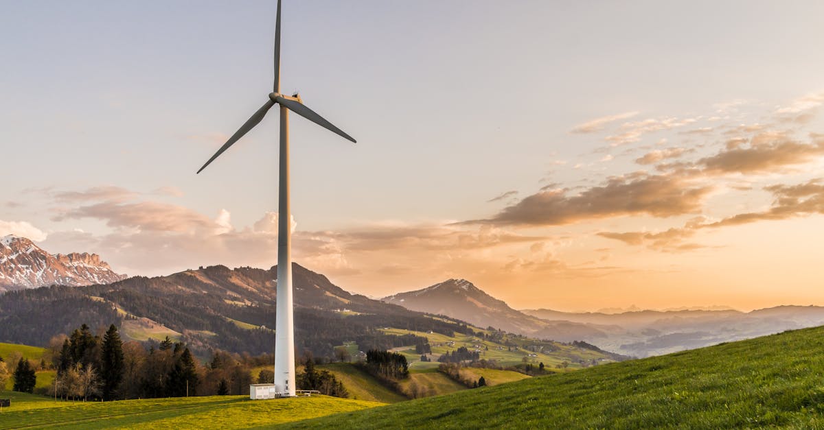 découvrez l'importance de la durabilité dans notre société actuelle. apprenez comment adopter des pratiques responsables pour préserver notre planète pour les générations futures tout en favorisant un développement économique et social équilibré.