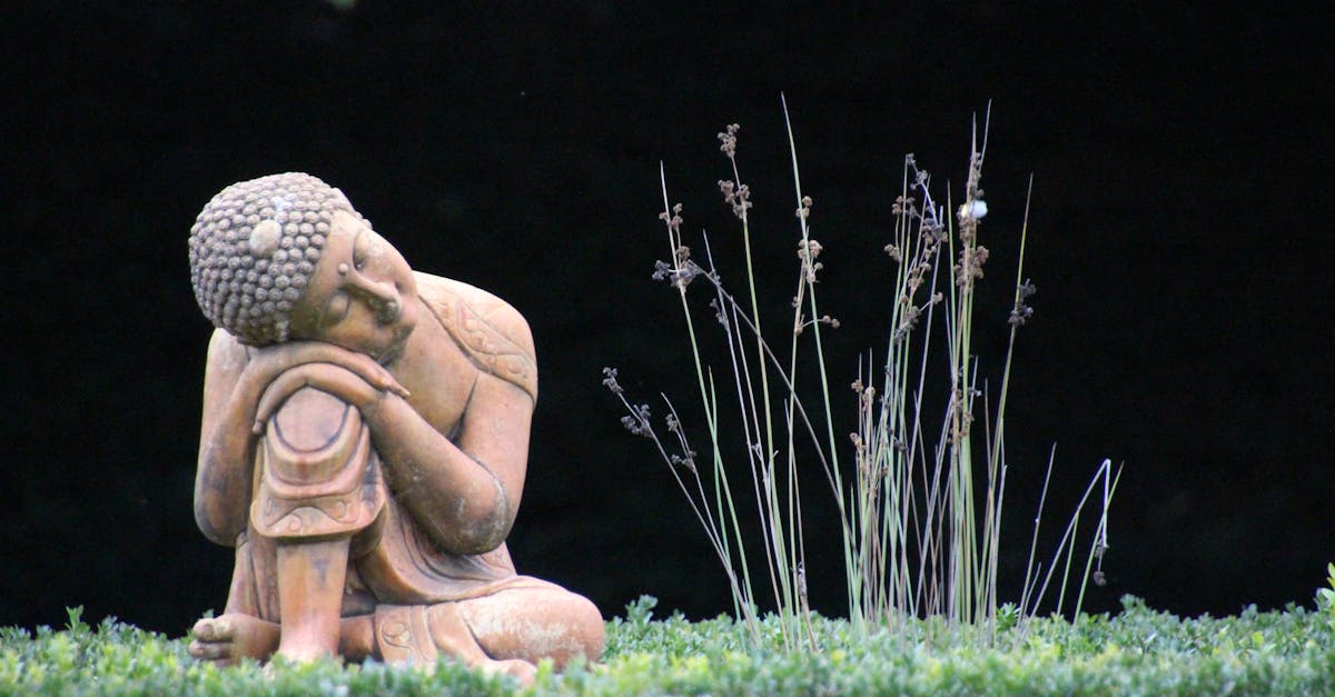 découvrez la méditation transcendantale, une technique simple et efficace pour réduire le stress, améliorer la concentration et favoriser le bien-être mental et physique au quotidien.