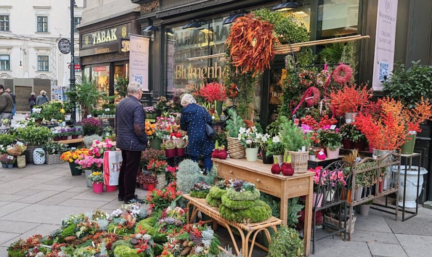 Tout savoir sur asse boutique : présentation, produits et conseils pour bien acheter