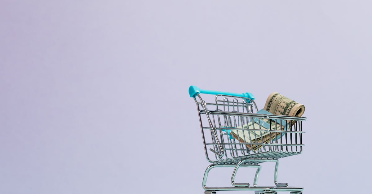 découvrez tout sur l'ecommerce : tendances, conseils pour réussir votre boutique en ligne, solutions de paiement sécurisées et stratégies marketing pour booster vos ventes sur internet.