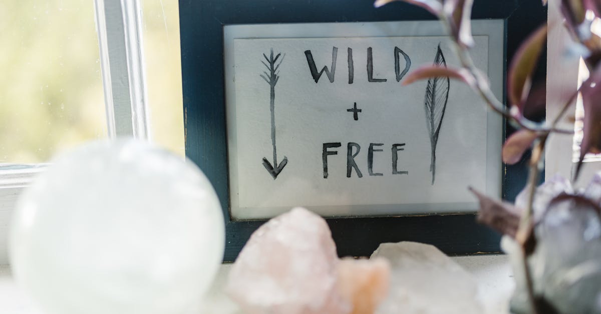 découvrez free shop, votre boutique en ligne pour profiter d’une vaste sélection de produits gratuits ou à petits prix. trouvez les meilleures offres, bons plans et nouveautés chaque jour !