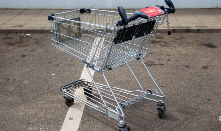 découvrez notre free store : une boutique gratuite où vous pouvez trouver et échanger divers articles sans dépenser d'argent. profitez d'une expérience différente dans le partage, le recyclage et la réutilisation d'objets du quotidien.