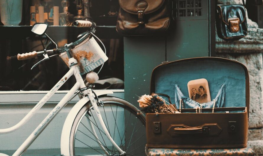 Tout savoir sur la boutique OL : produits, nouveautés et conseils d’achat